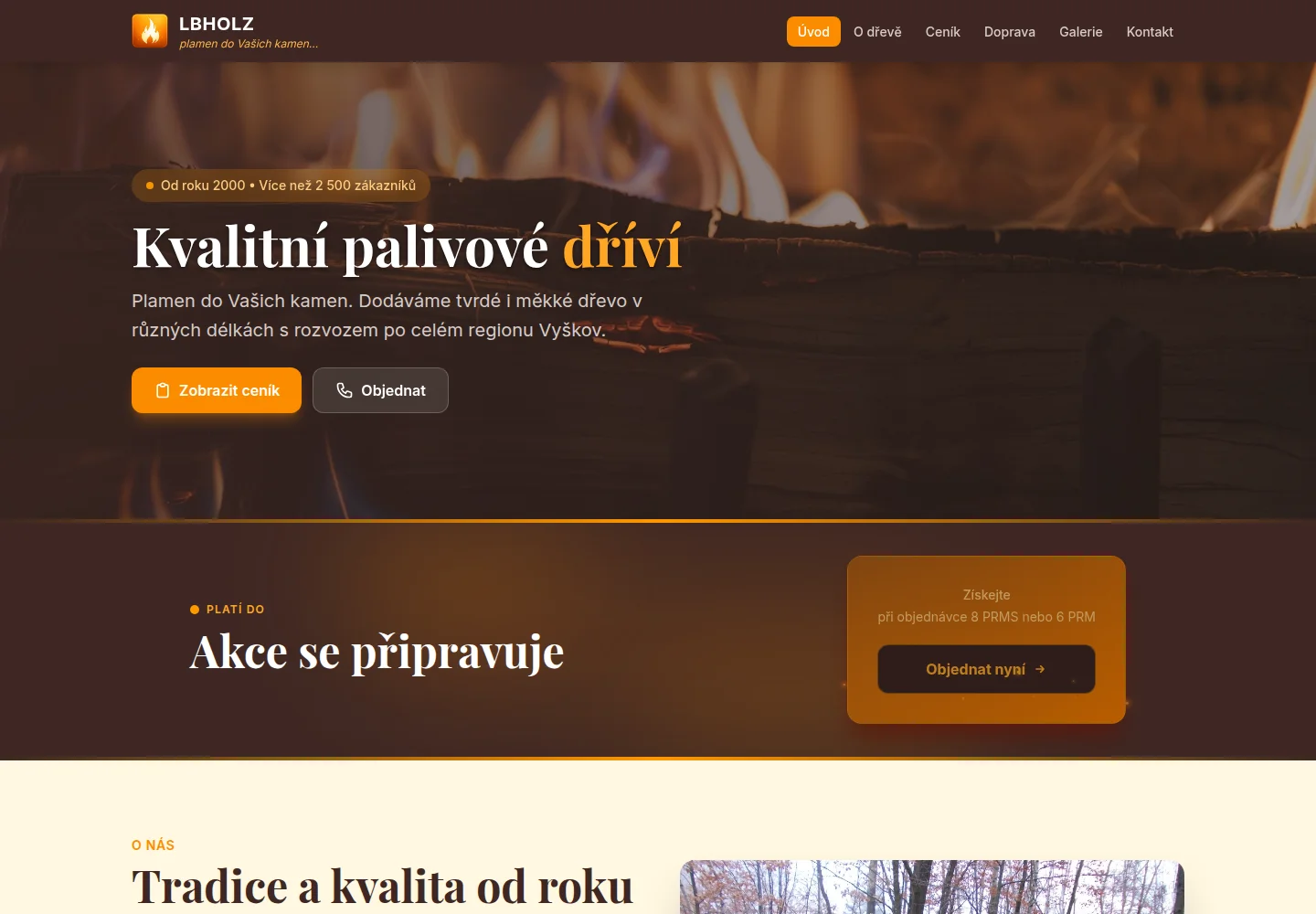 Úvodní stránka projektu LBHOLZ